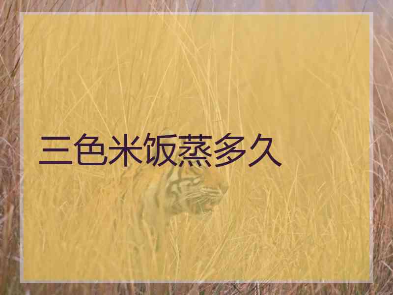 三色米饭蒸多久