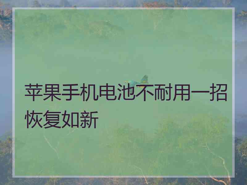 苹果手机电池不耐用一招恢复如新