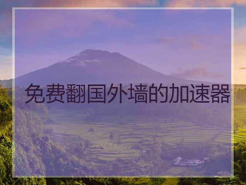 免费翻国外墙的加速器