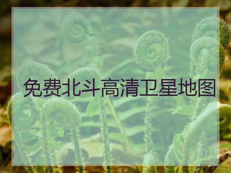 免费北斗高清卫星地图