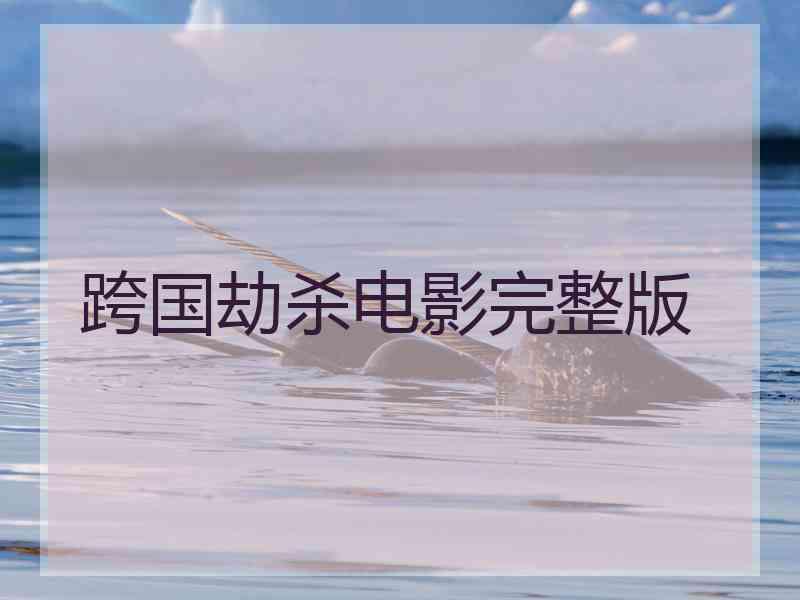 跨国劫杀电影完整版