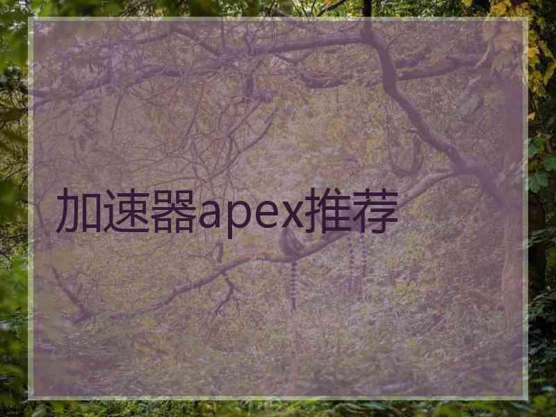 加速器apex推荐