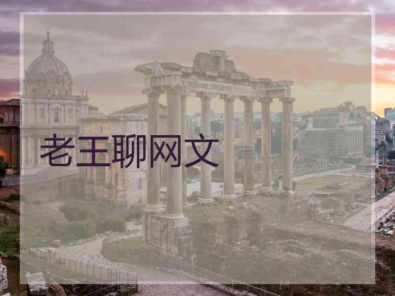 老王聊网文