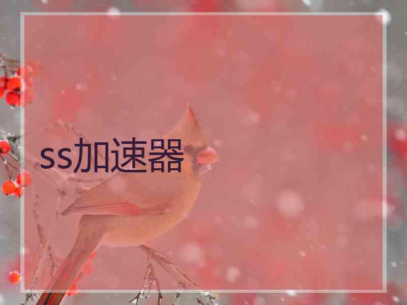 ss加速器