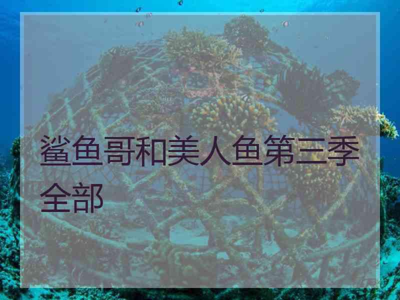 鲨鱼哥和美人鱼第三季全部