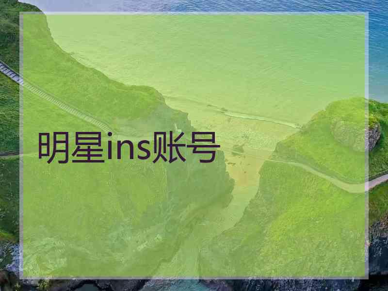 明星ins账号