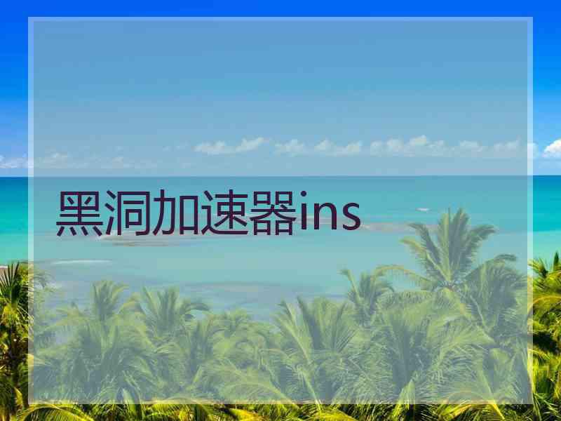 黑洞加速器ins