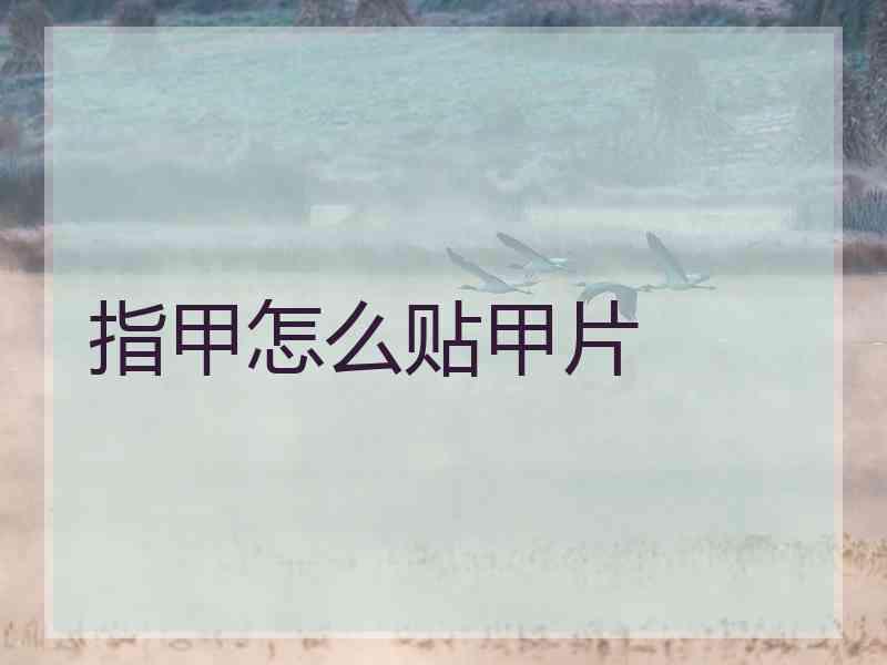 指甲怎么贴甲片