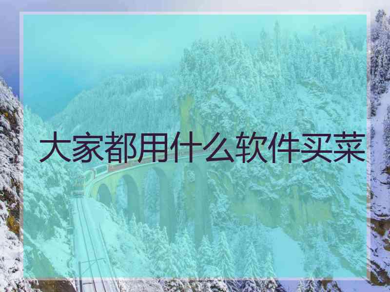 大家都用什么软件买菜