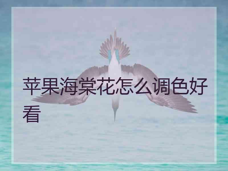 苹果海棠花怎么调色好看