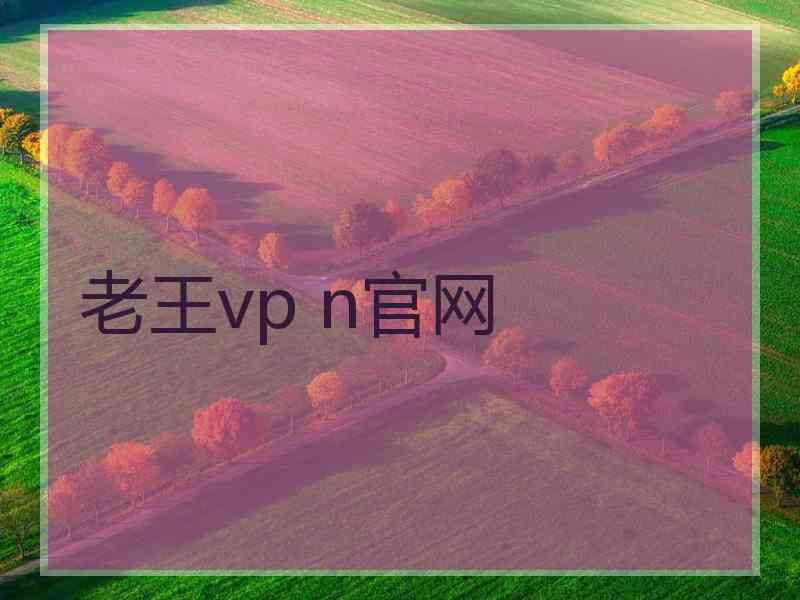 老王vp n官网