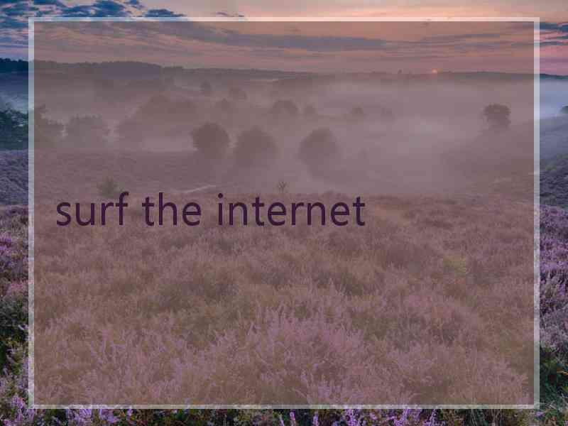 surf the internet