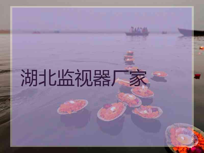 湖北监视器厂家