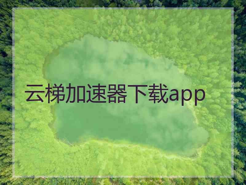 云梯加速器下载app