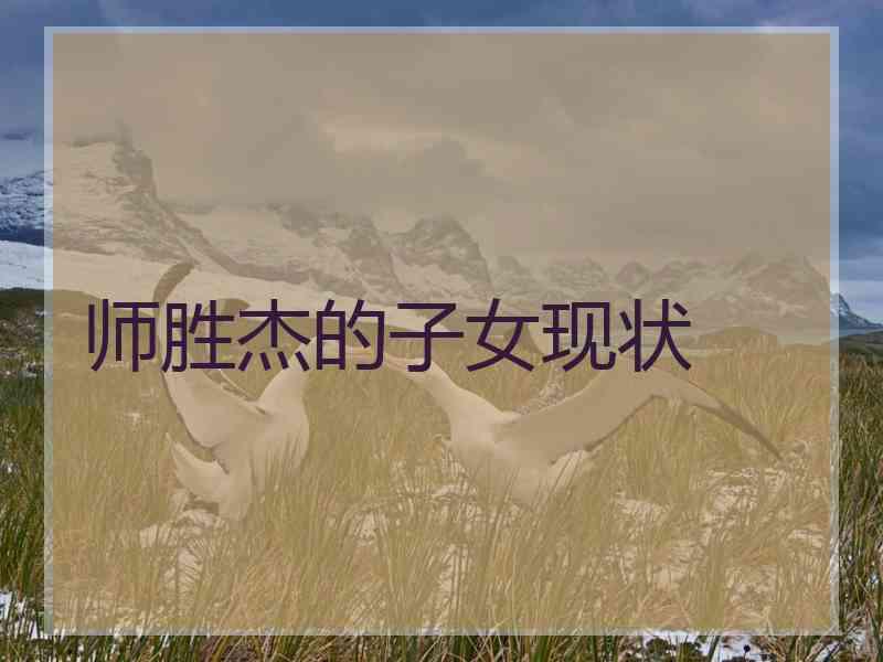师胜杰的子女现状