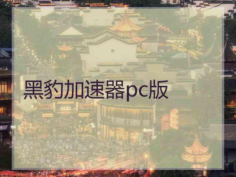 黑豹加速器pc版