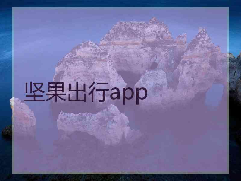 坚果出行app