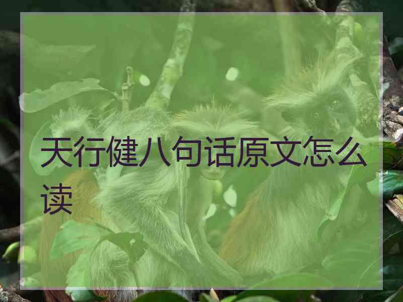 天行健八句话原文怎么读