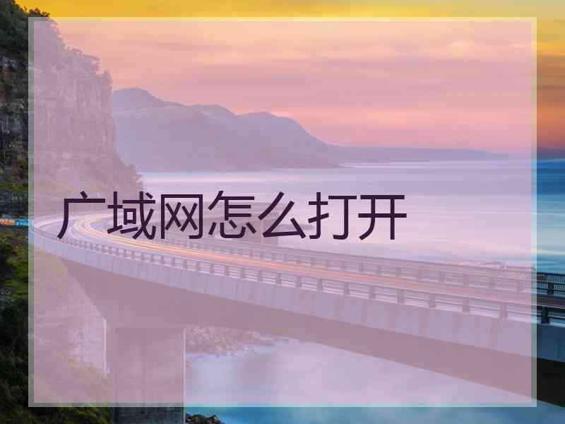 广域网怎么打开