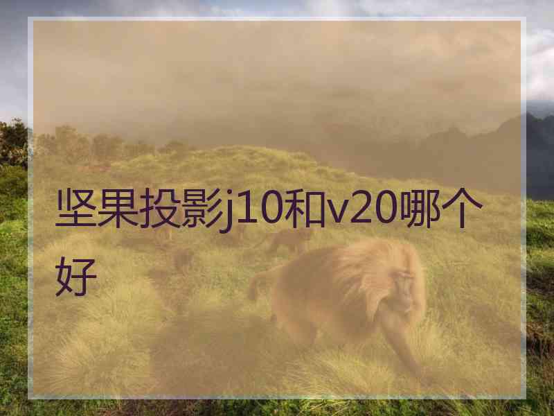 坚果投影j10和v20哪个好