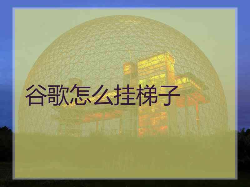 谷歌怎么挂梯子