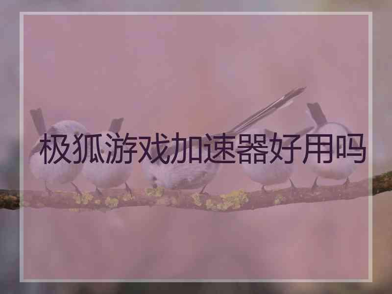 极狐游戏加速器好用吗
