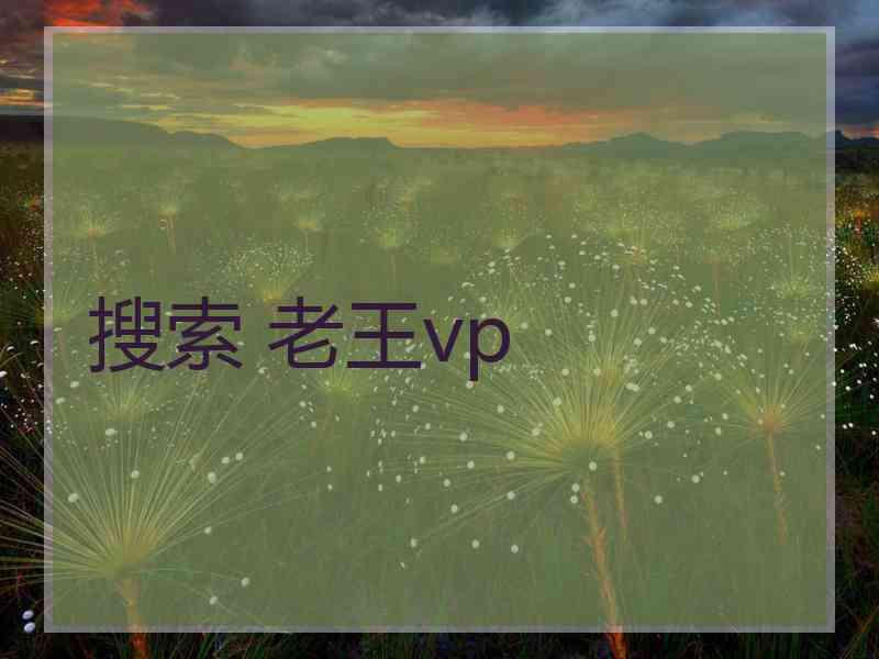 搜索 老王vp