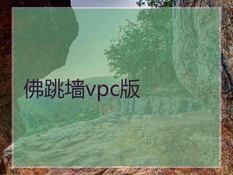 佛跳墙vpc版