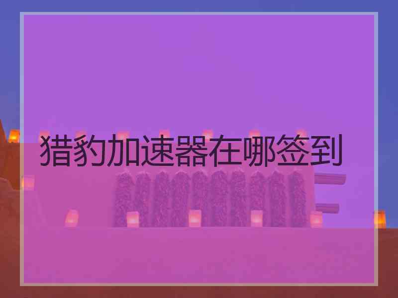 猎豹加速器在哪签到