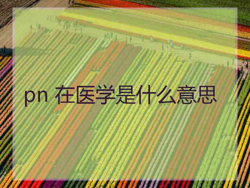 pn 在医学是什么意思