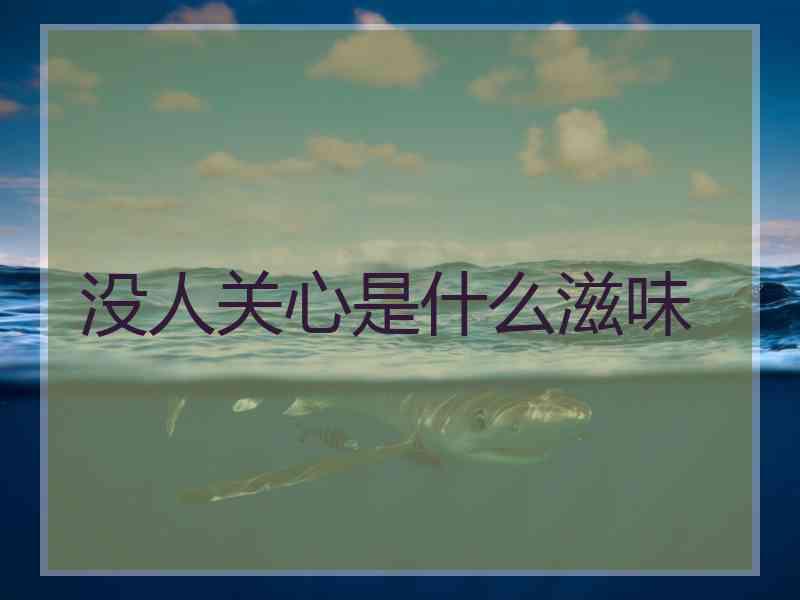 没人关心是什么滋味