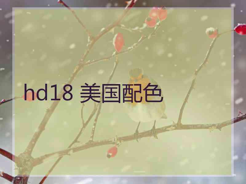 hd18 美国配色
