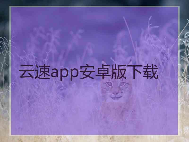 云速app安卓版下载