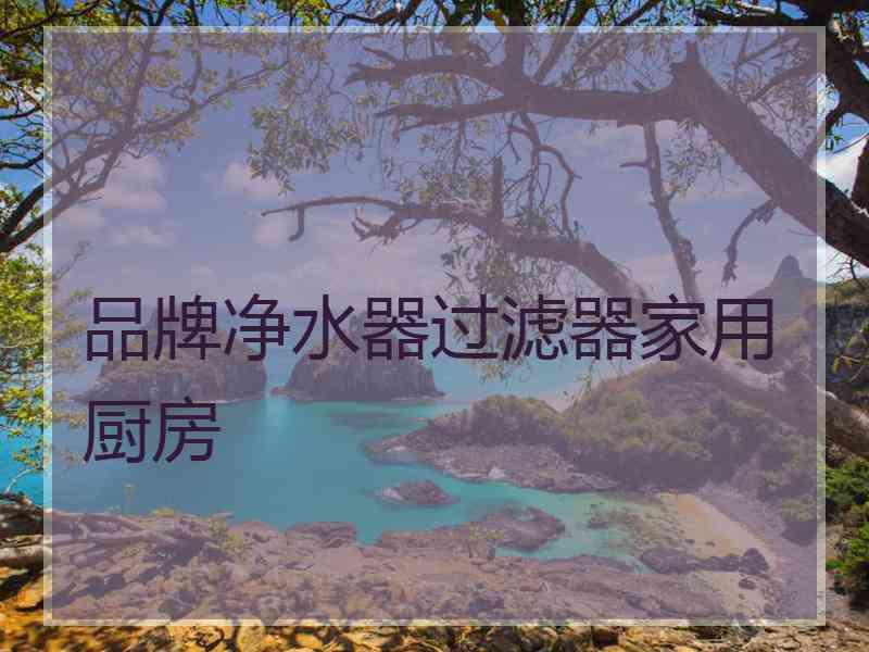 品牌净水器过滤器家用厨房