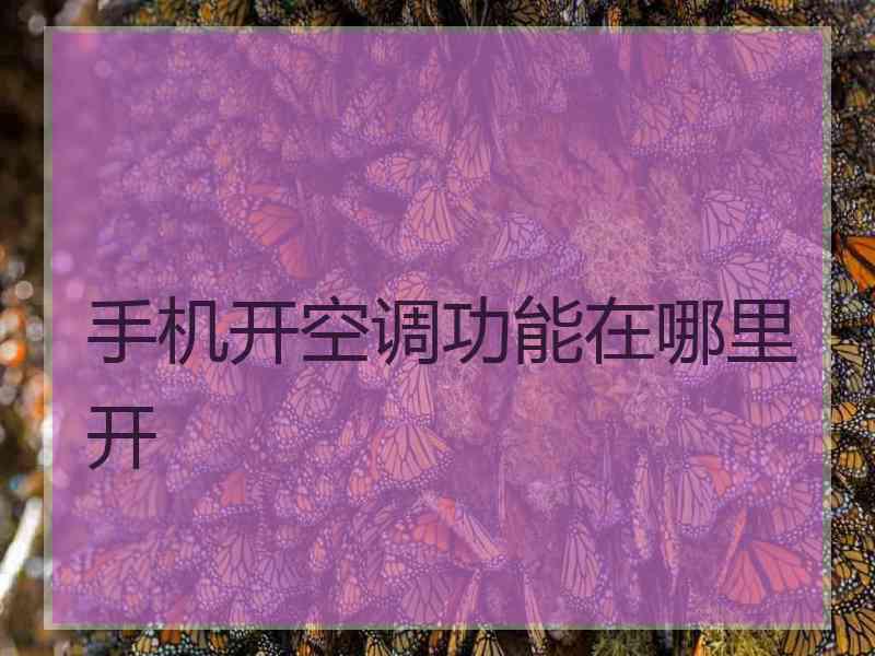 手机开空调功能在哪里开
