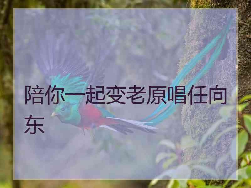 陪你一起变老原唱任向东
