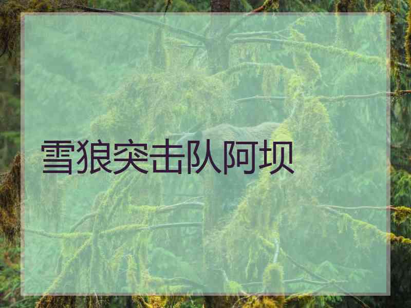 雪狼突击队阿坝