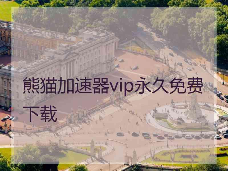 熊猫加速器vip永久免费下载