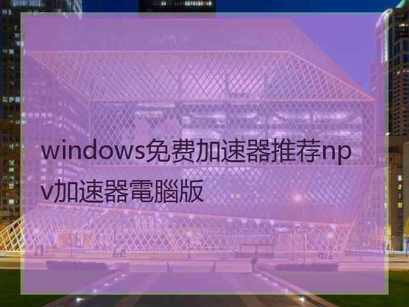 windows免费加速器推荐npv加速器電腦版