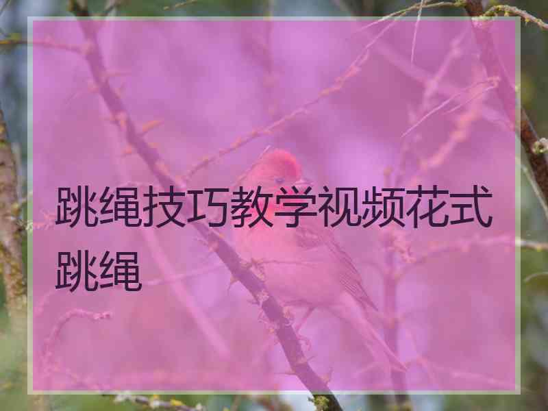 跳绳技巧教学视频花式跳绳