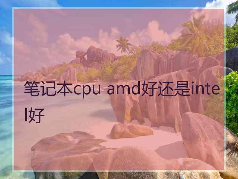 笔记本cpu amd好还是intel好