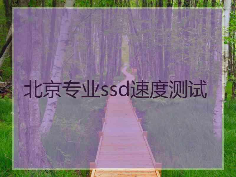 北京专业ssd速度测试
