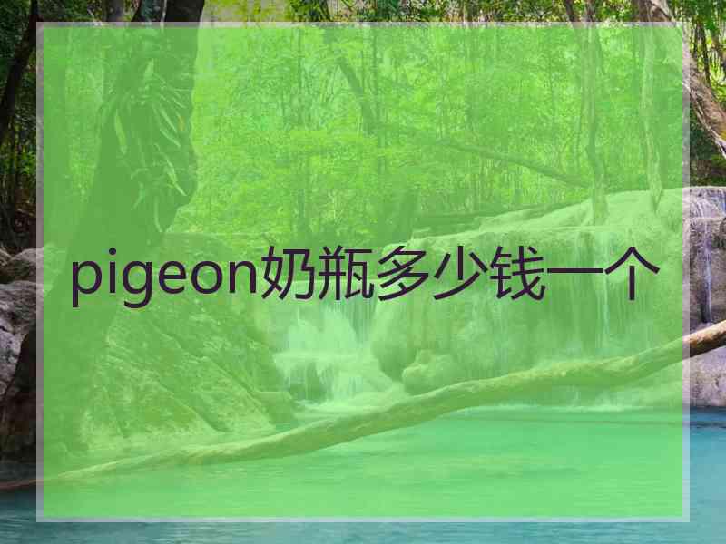 pigeon奶瓶多少钱一个