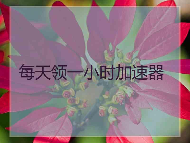 每天领一小时加速器