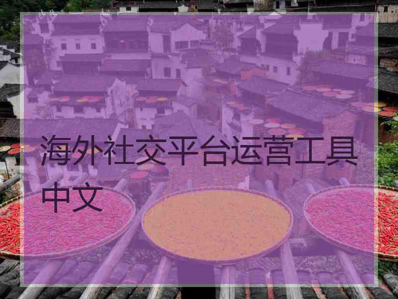 海外社交平台运营工具中文