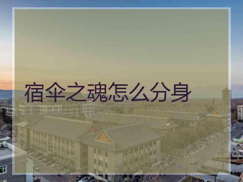 宿伞之魂怎么分身