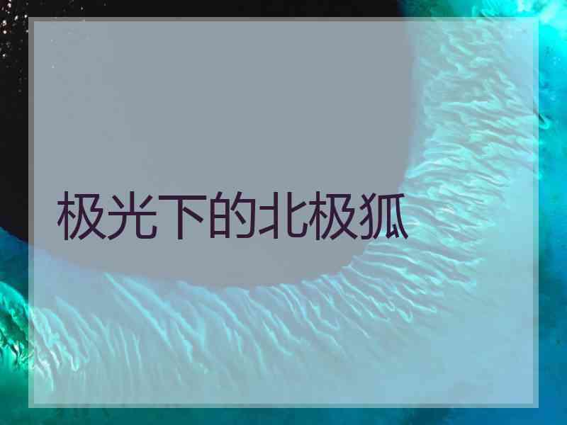 极光下的北极狐