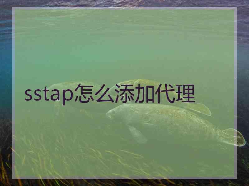 sstap怎么添加代理