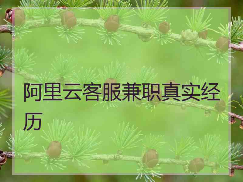 阿里云客服兼职真实经历