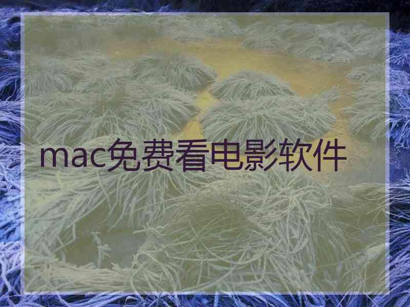 mac免费看电影软件